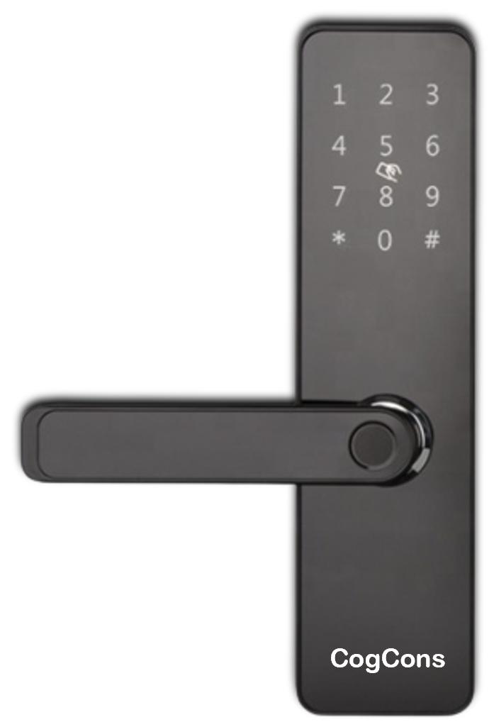 CC S200 SMART DOOR LOCK||Delivered and Installed in 90 minutes in Delhi/Ncr